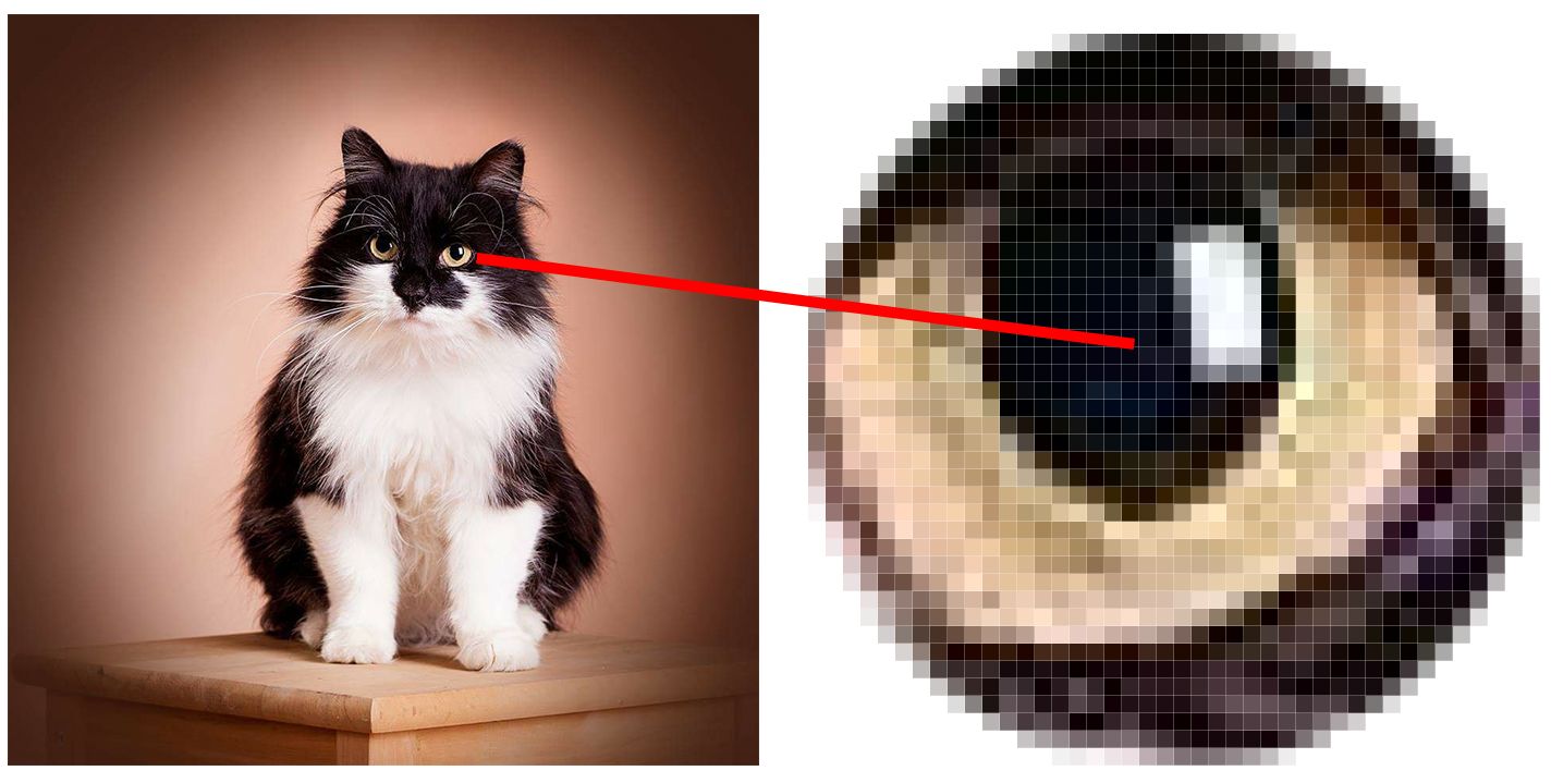 Katt med inzoomat öga så pixlarna syns